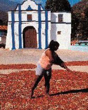 Amedei