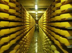 Asiago stagionato - Archivio GDV