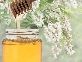  Acacia Italian Honey